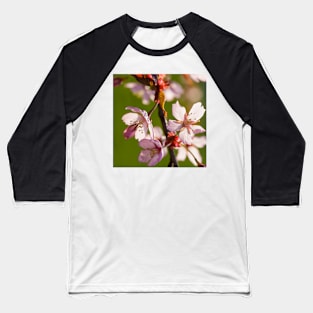 Cherry Blossom Baseball T-Shirt
